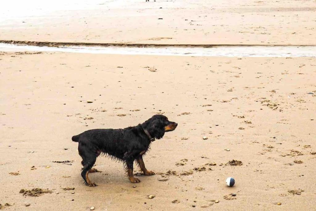 Large Cottage, Beach, Pubs Shops, Netflix, Bbq, Dog Friendly Hunmanby Exterior photo